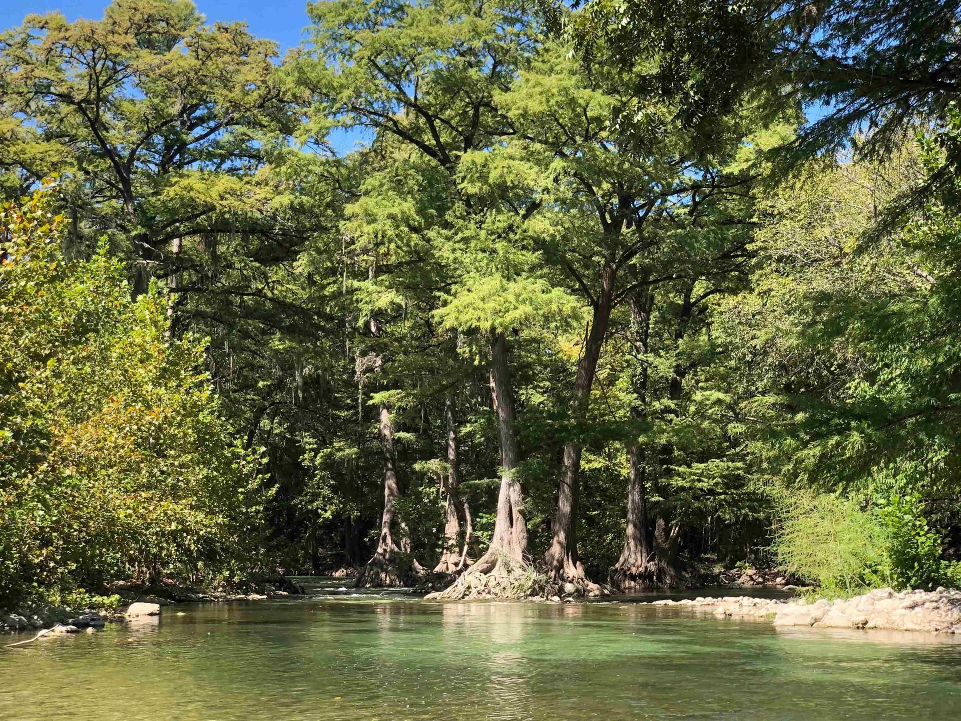 0.22 acres in Comal County - photo 14