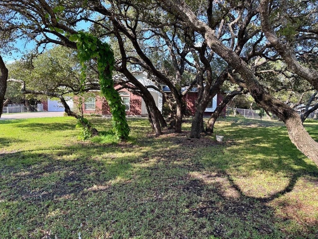 63,162 acres in San Patricio County - photo 4