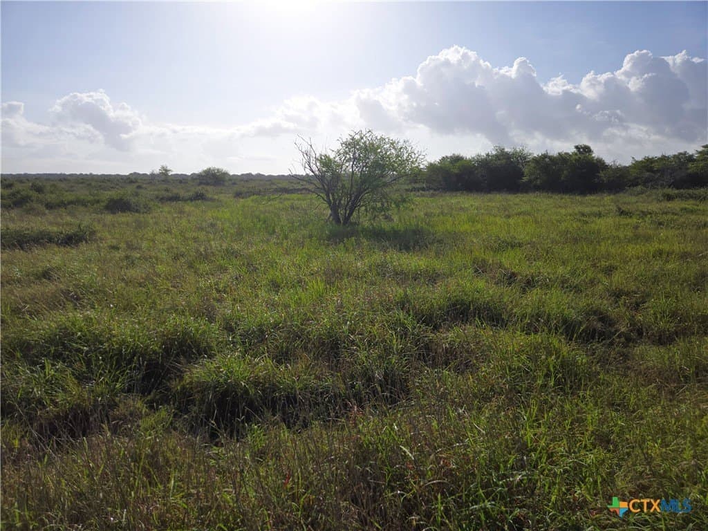 23.47 acres in Jackson County gallery image 2