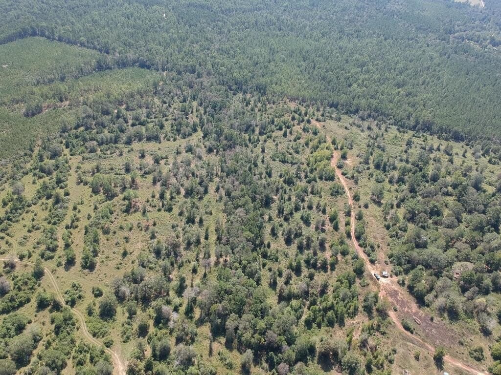 11 acres in Texas County - photo 14