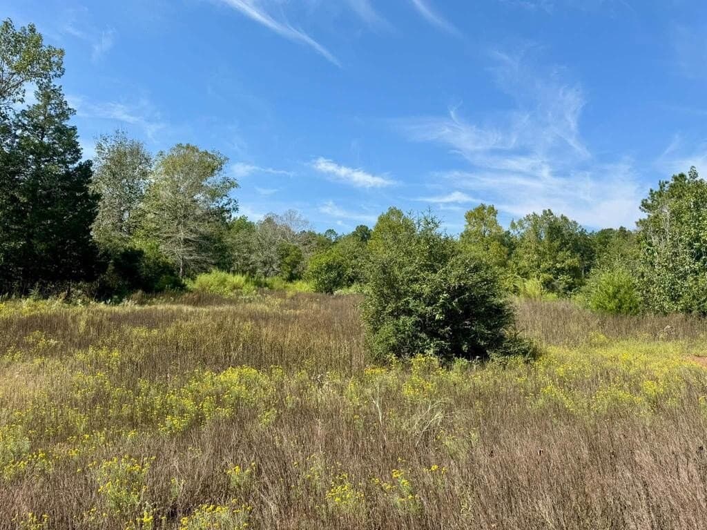 11 acres in Texas County - photo 3