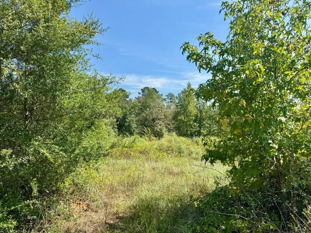 11 acres in Texas County - photo 6