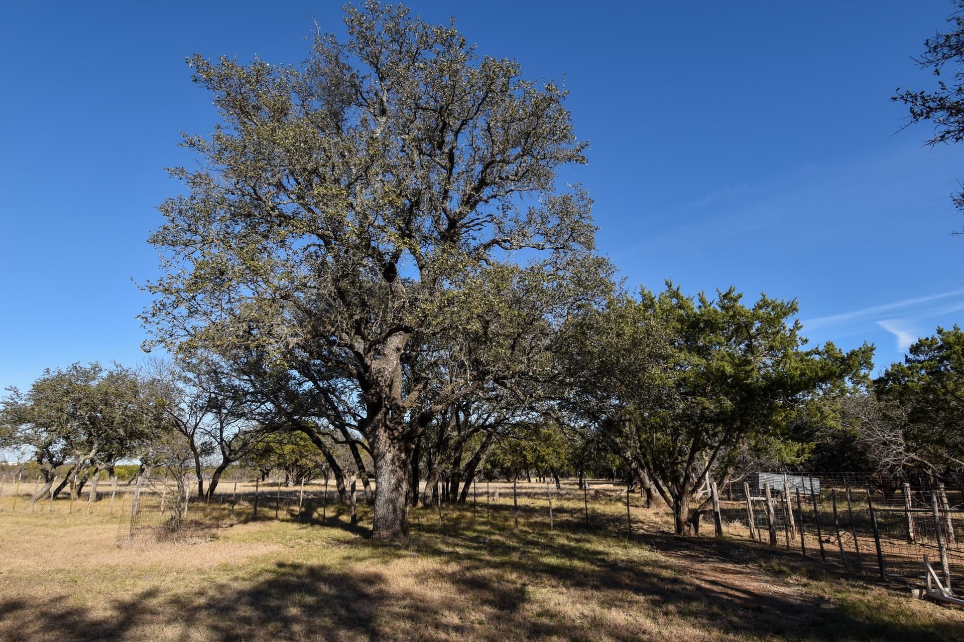 27.05 acres in McCulloch County - photo 19