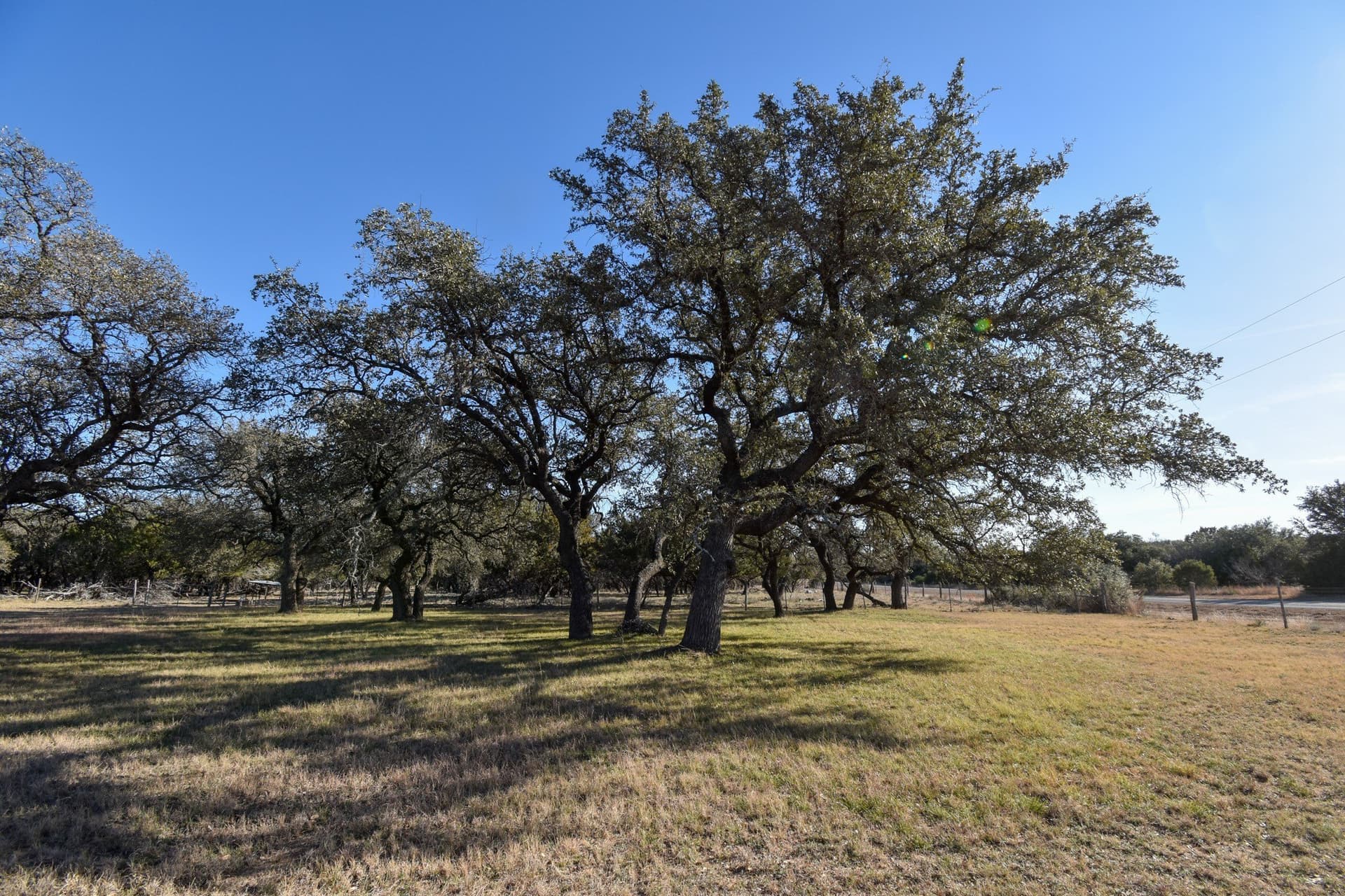 27.05 acres in McCulloch County - photo 38