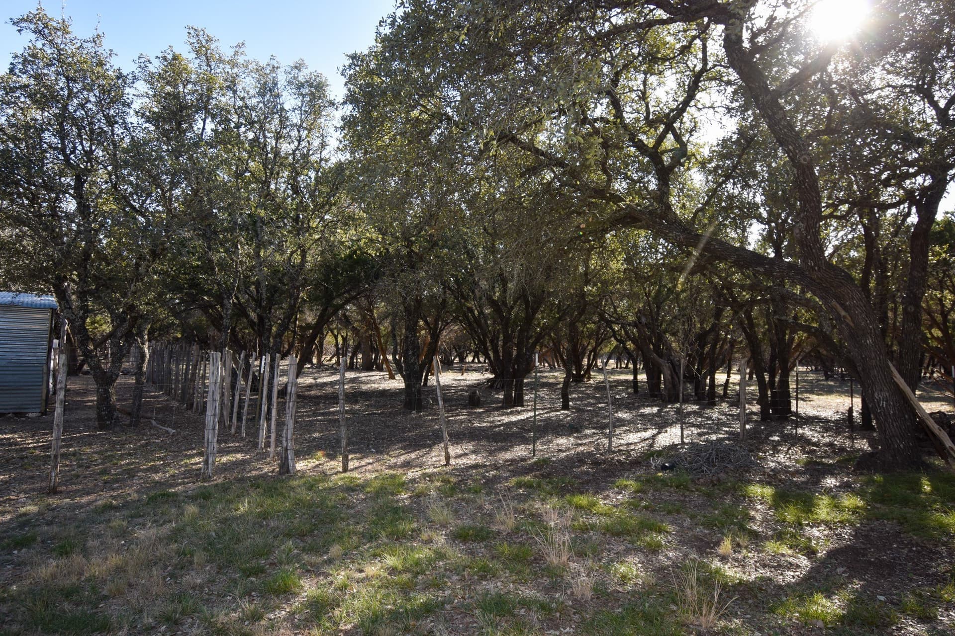 27.05 acres in McCulloch County - photo 16