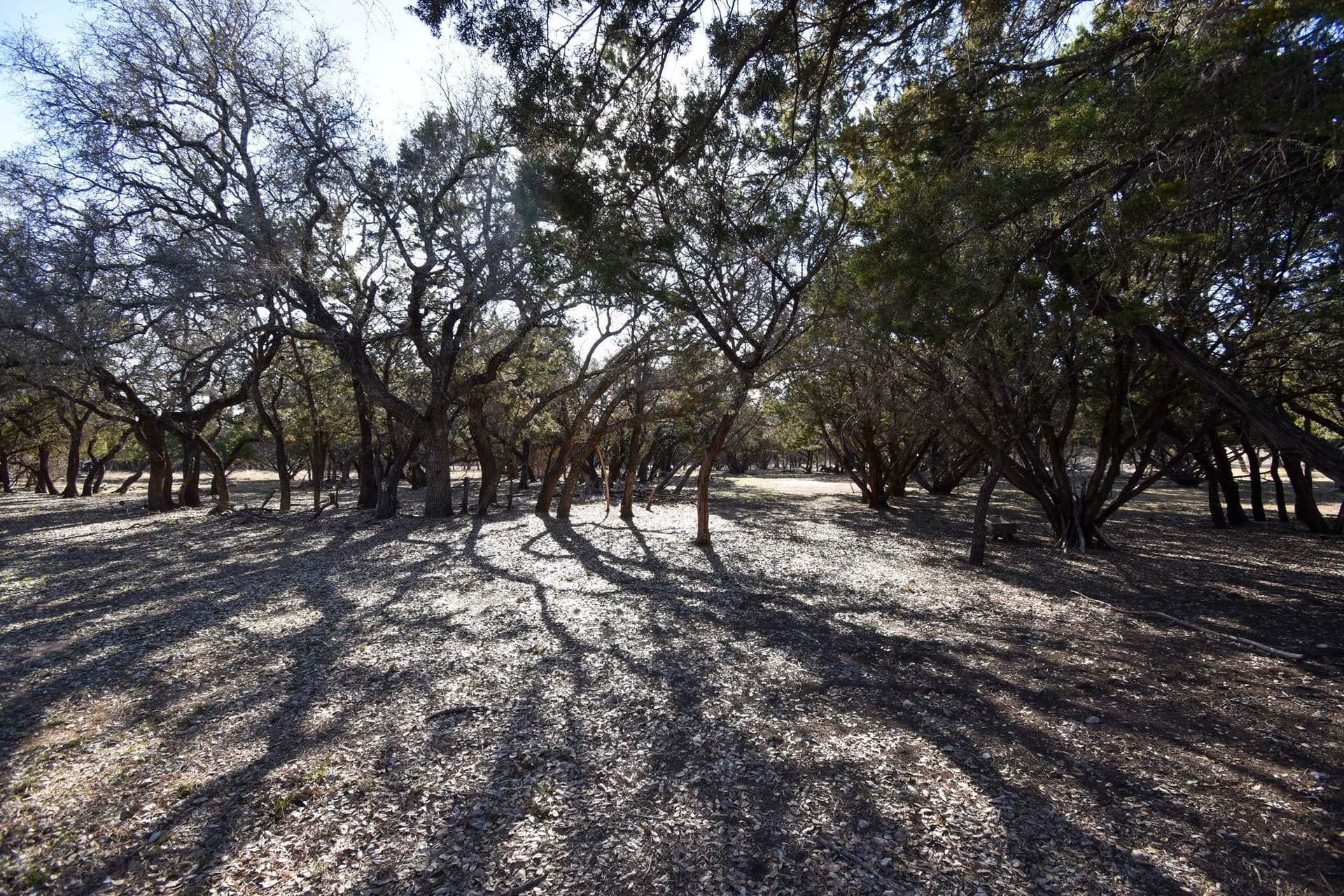 27.05 acres in McCulloch County - photo 27