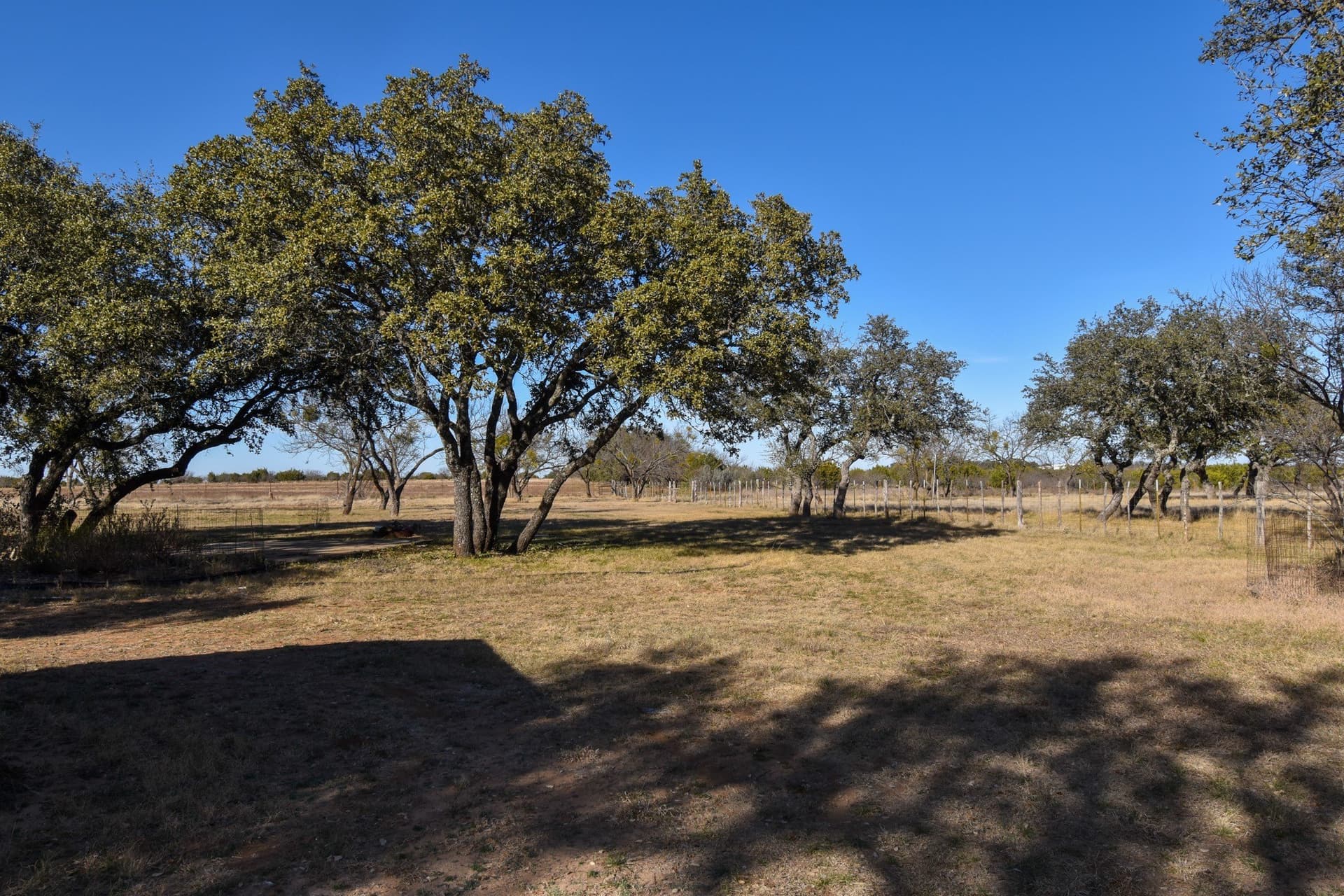 27.05 acres in McCulloch County - photo 18