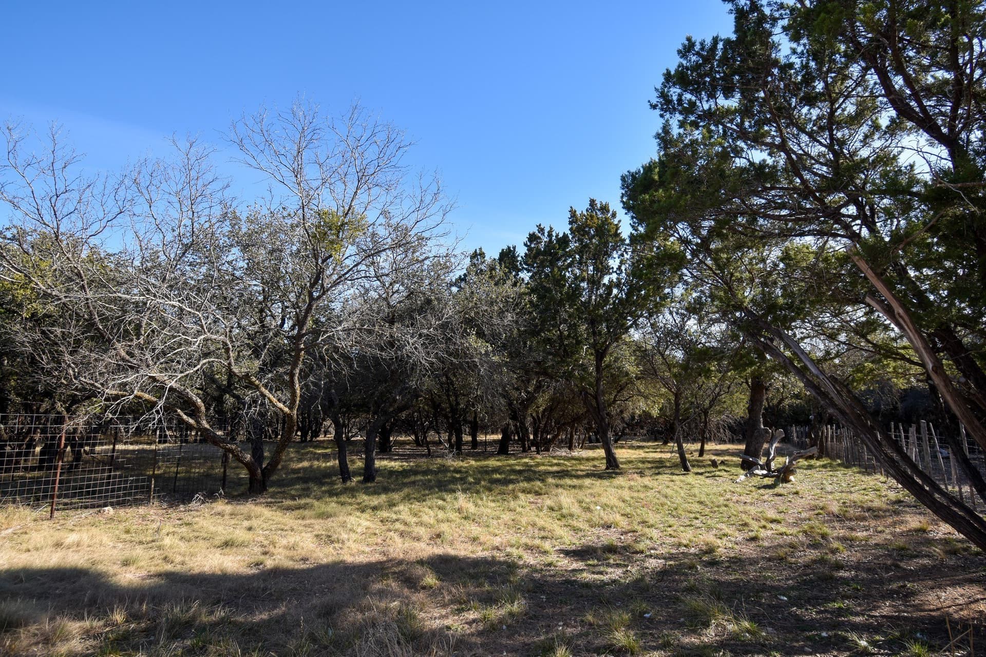 27.05 acres in McCulloch County - photo 22