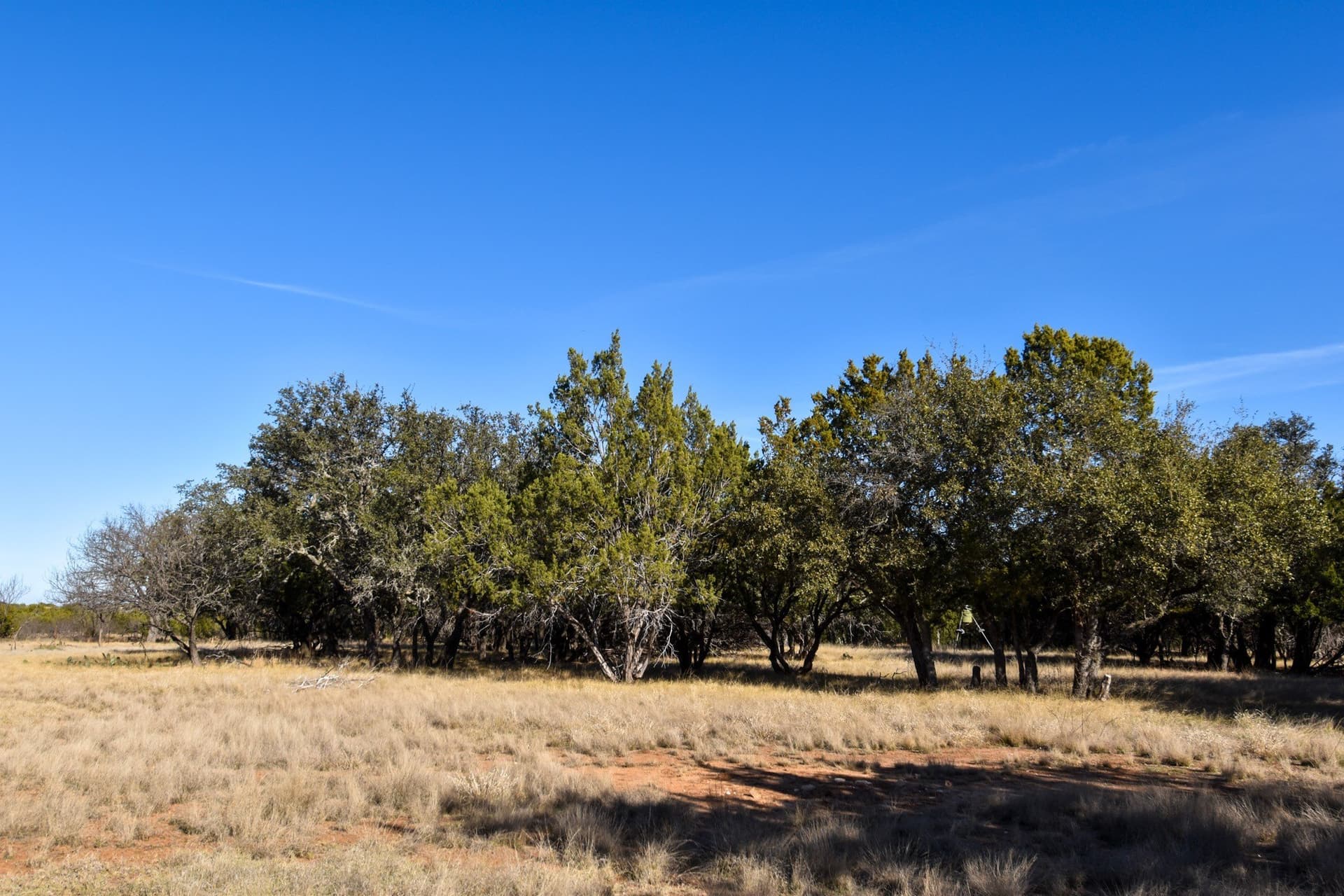 27.05 acres in McCulloch County - photo 23