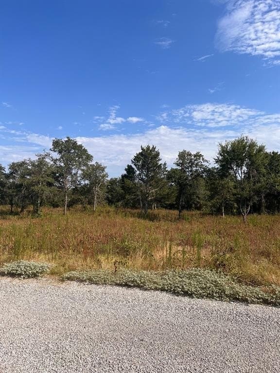 5 acres in Montague County gallery image 2