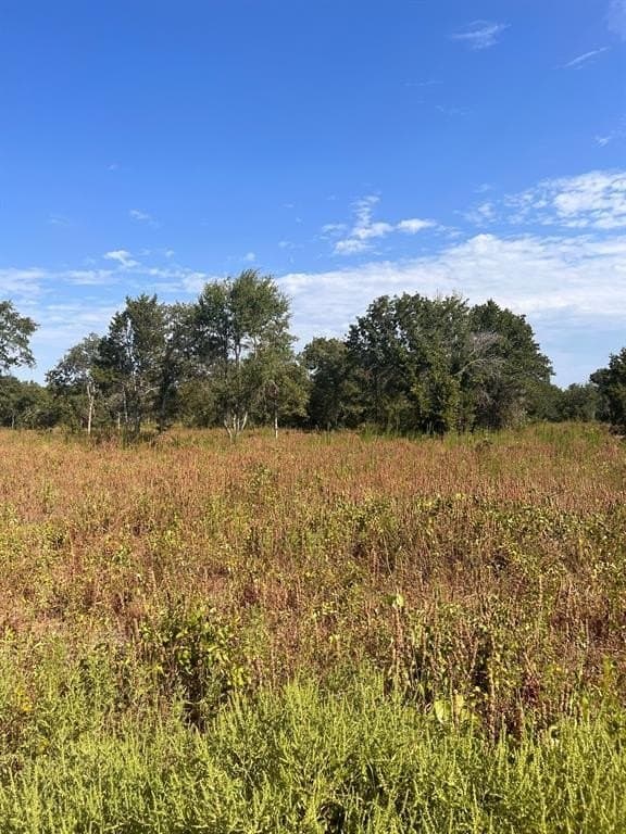 5 acres in Montague County