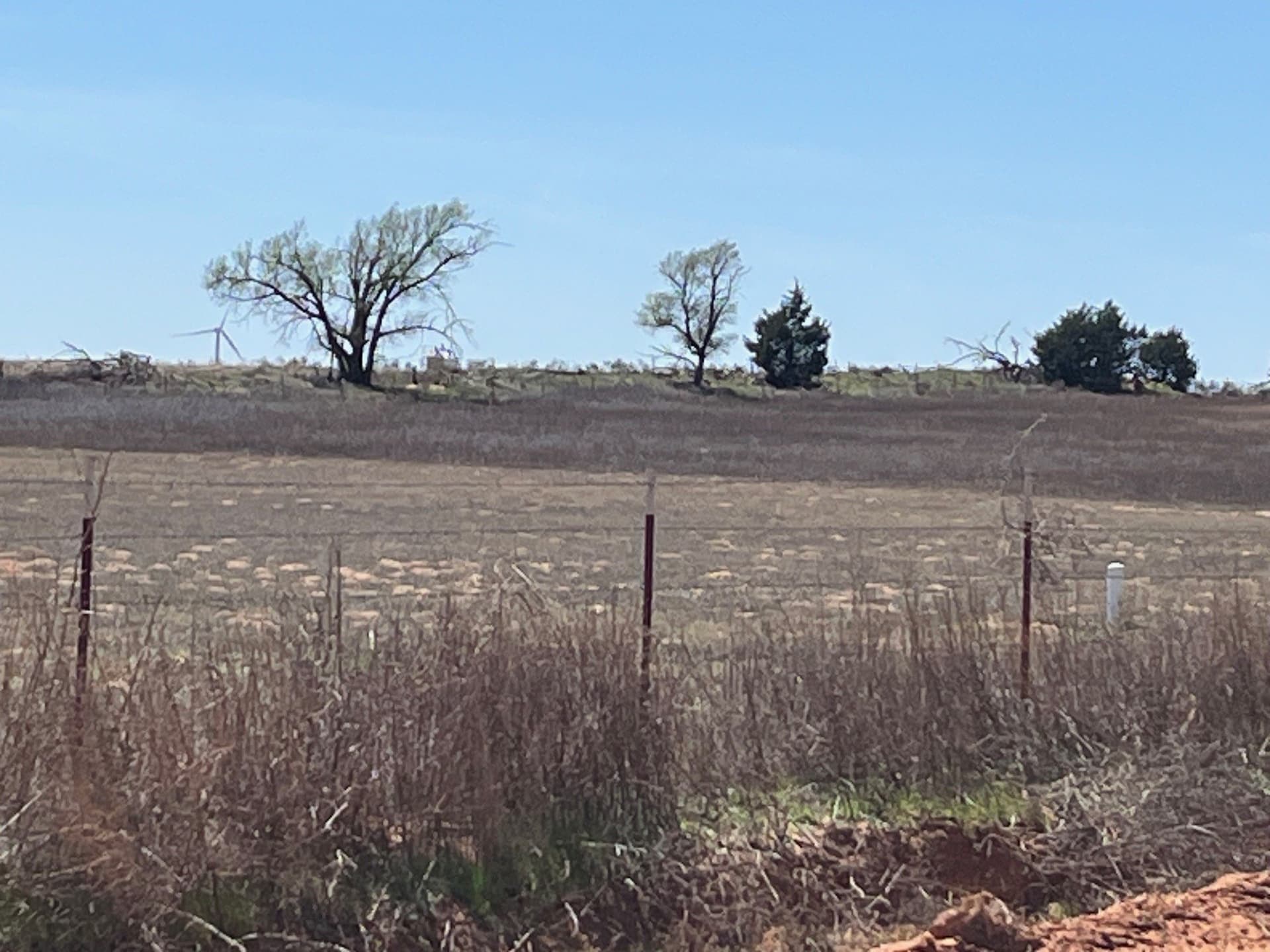 5 acres in Wilbarger County - photo 7