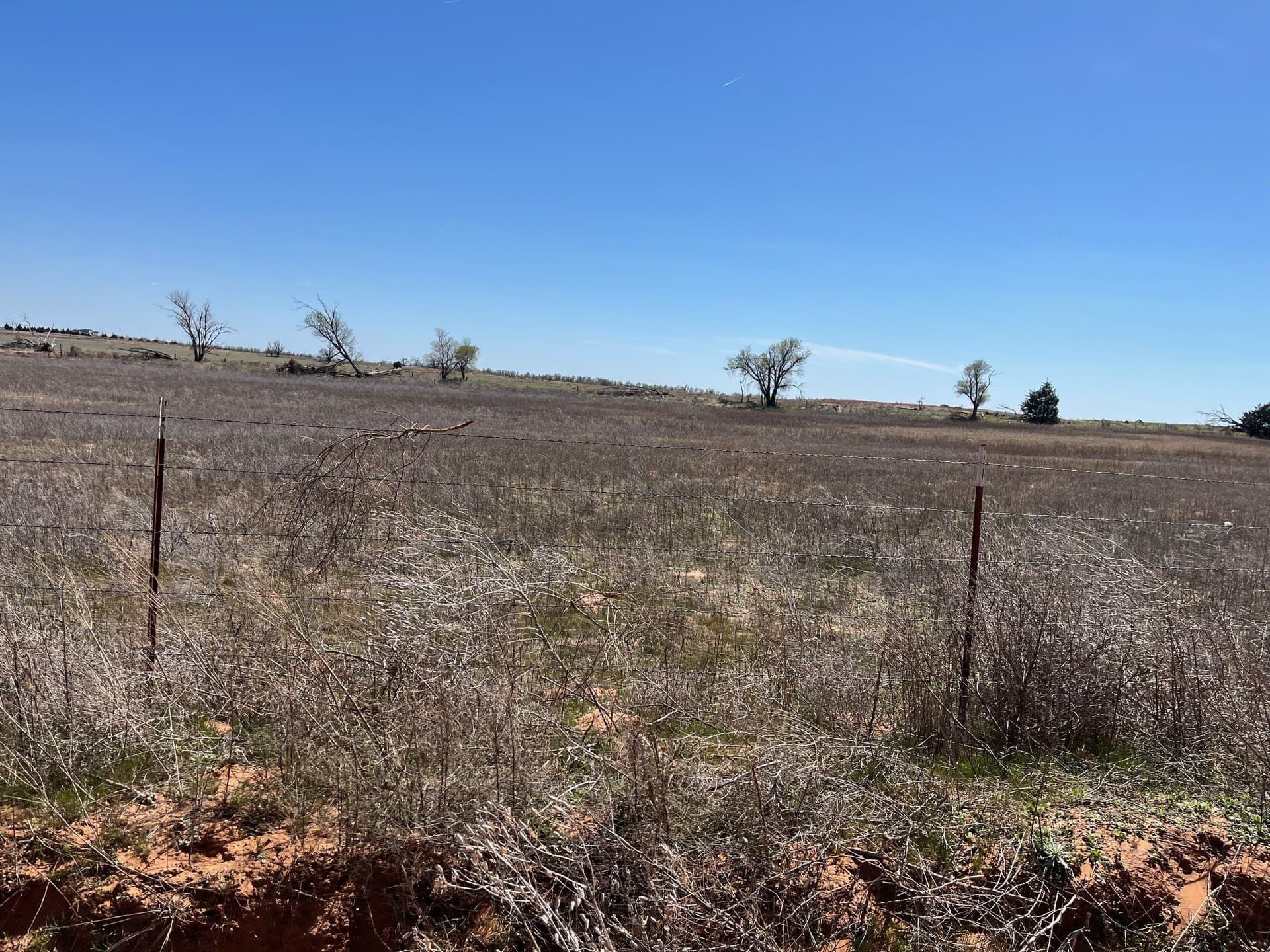 5 acres in Wilbarger County featured view