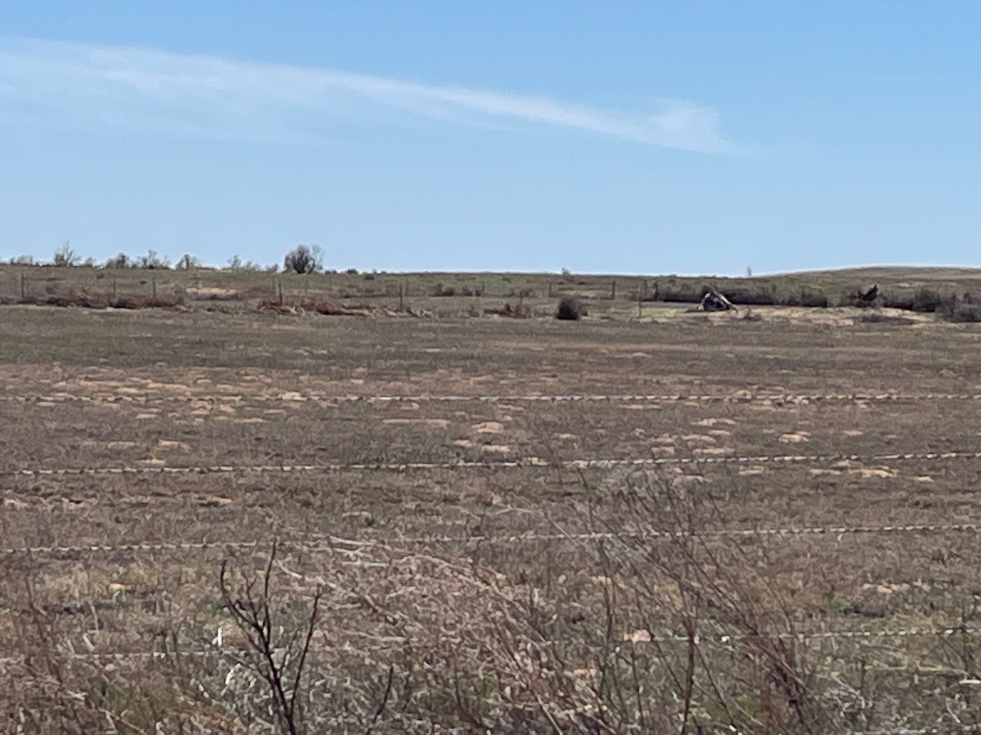 5 acres in Wilbarger County - photo 9