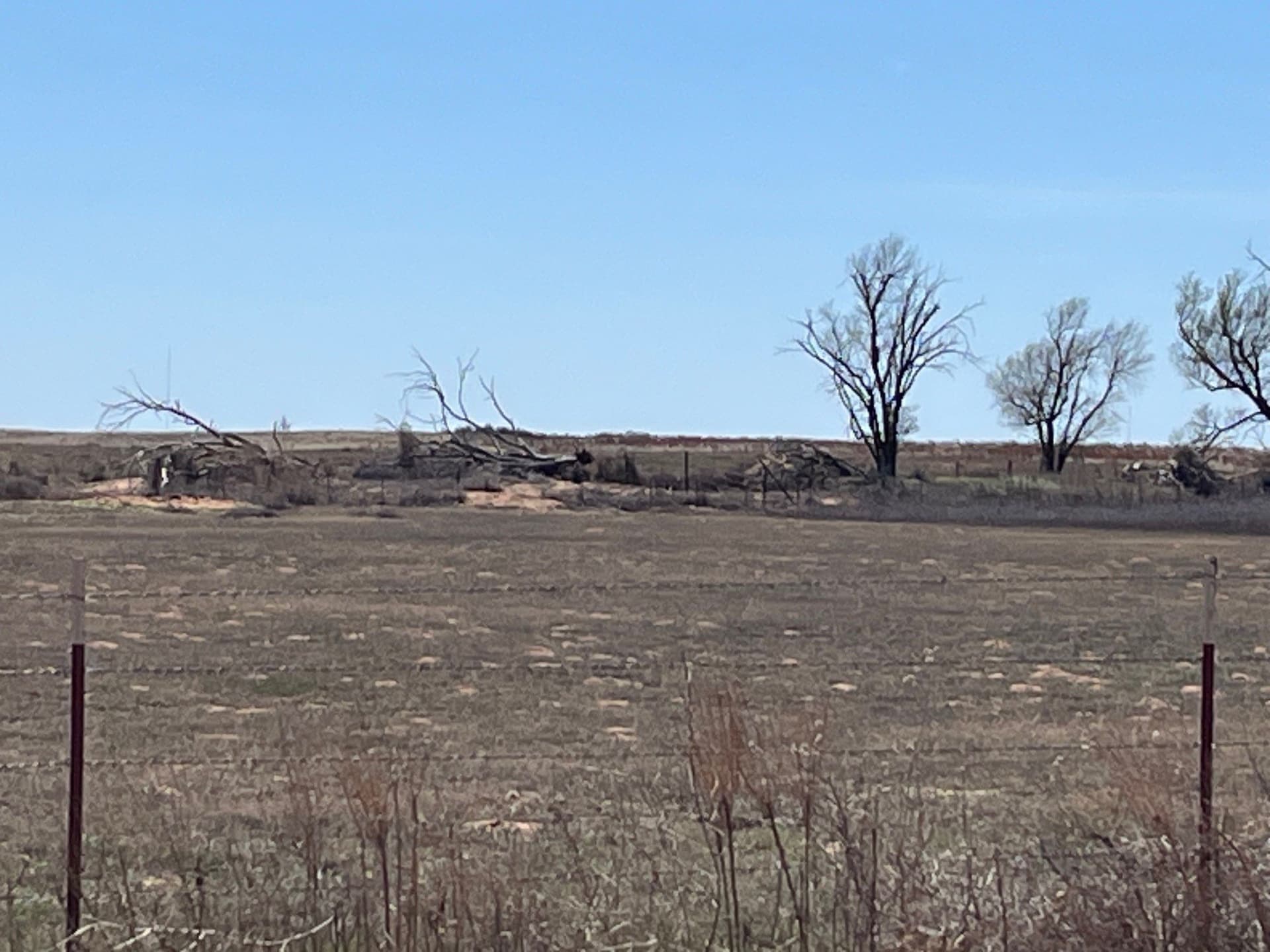 5 acres in Wilbarger County - photo 10