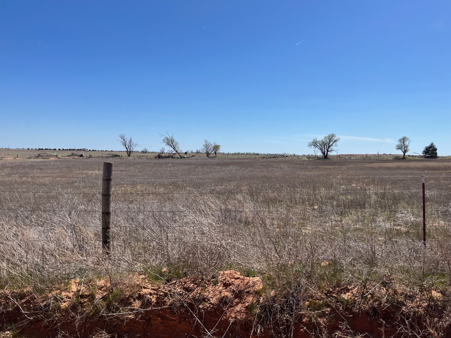 5 acres in Wilbarger County gallery image 4