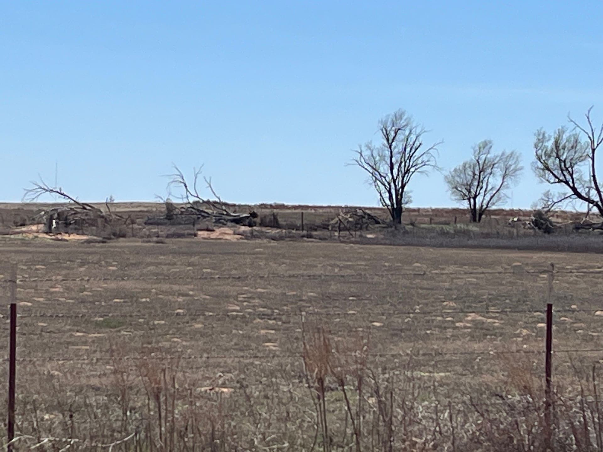 5 acres in Wilbarger County - photo 12