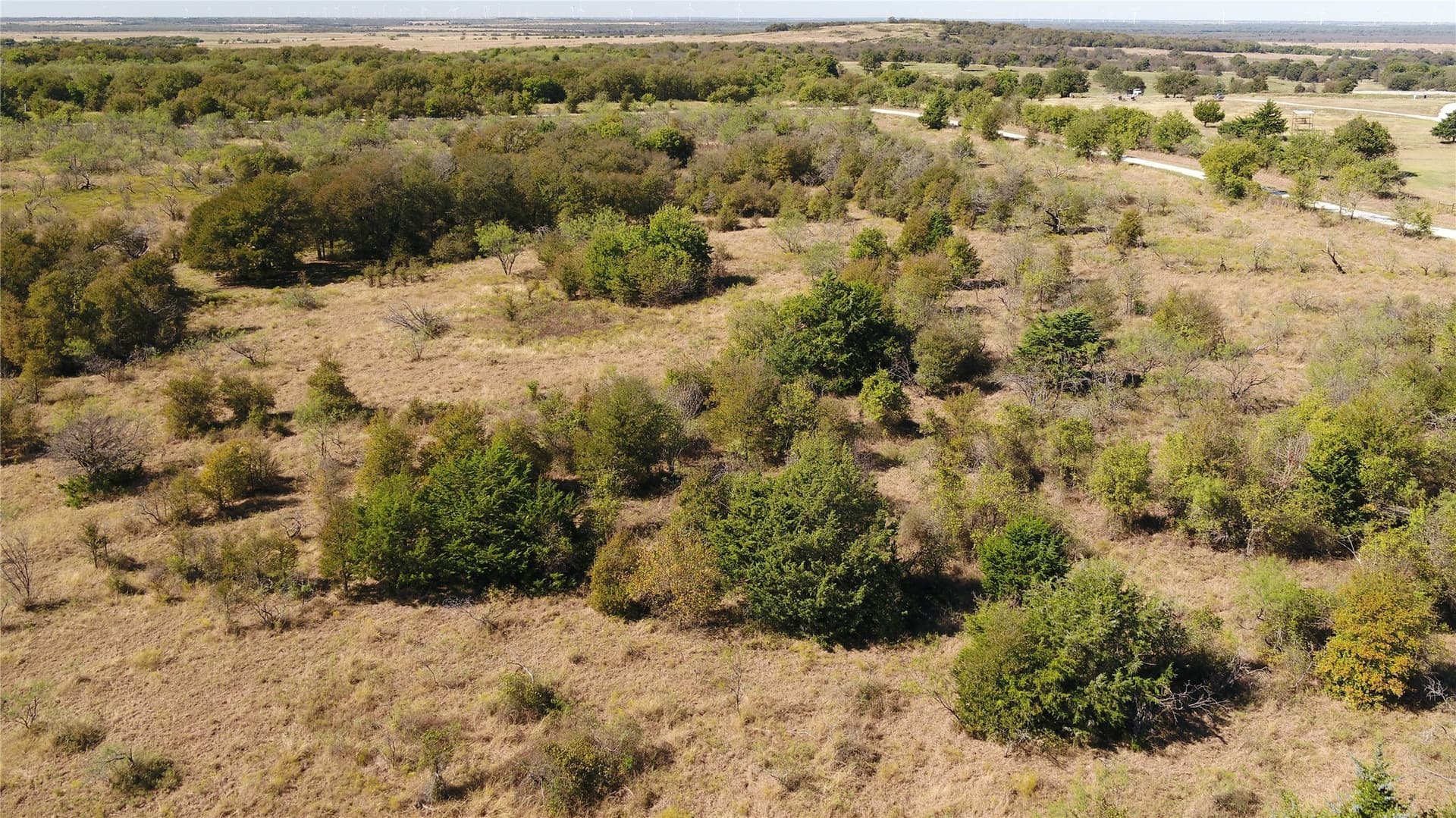 10 acres in Limestone County - photo 12