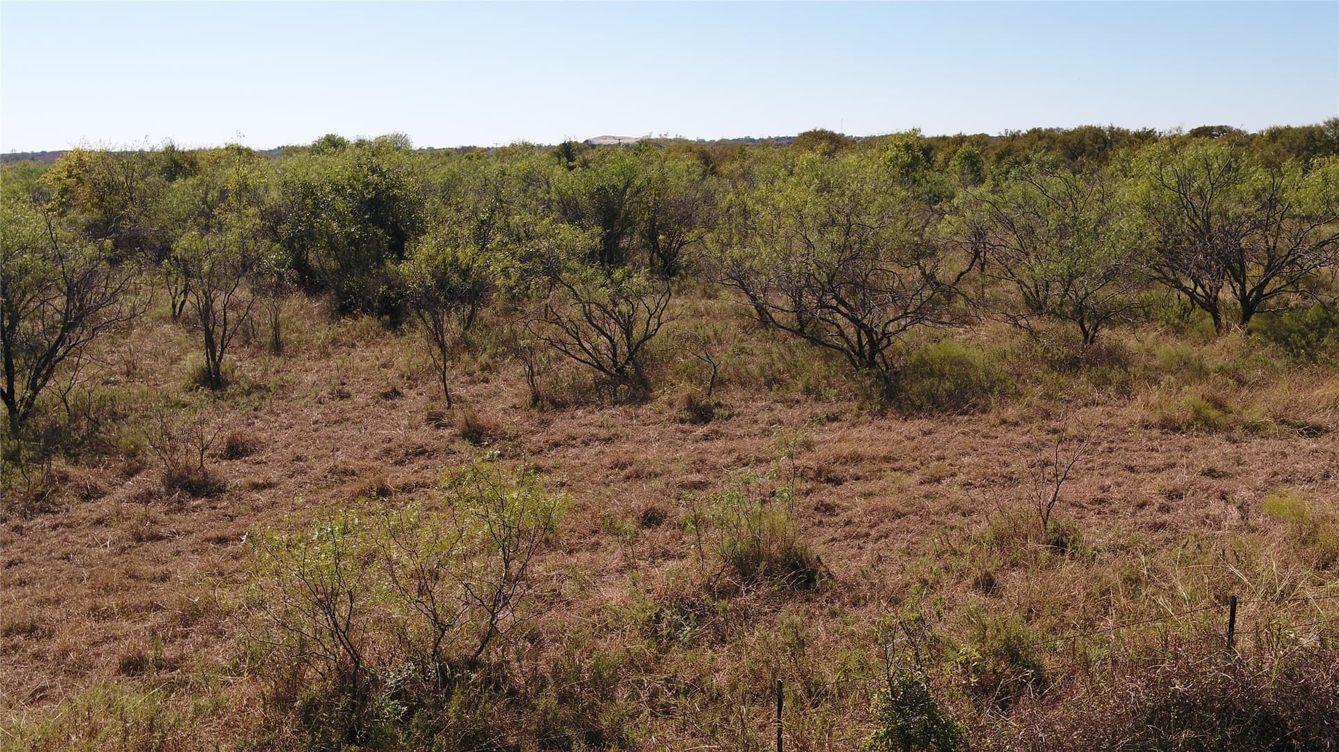 10 acres in Limestone County - photo 32