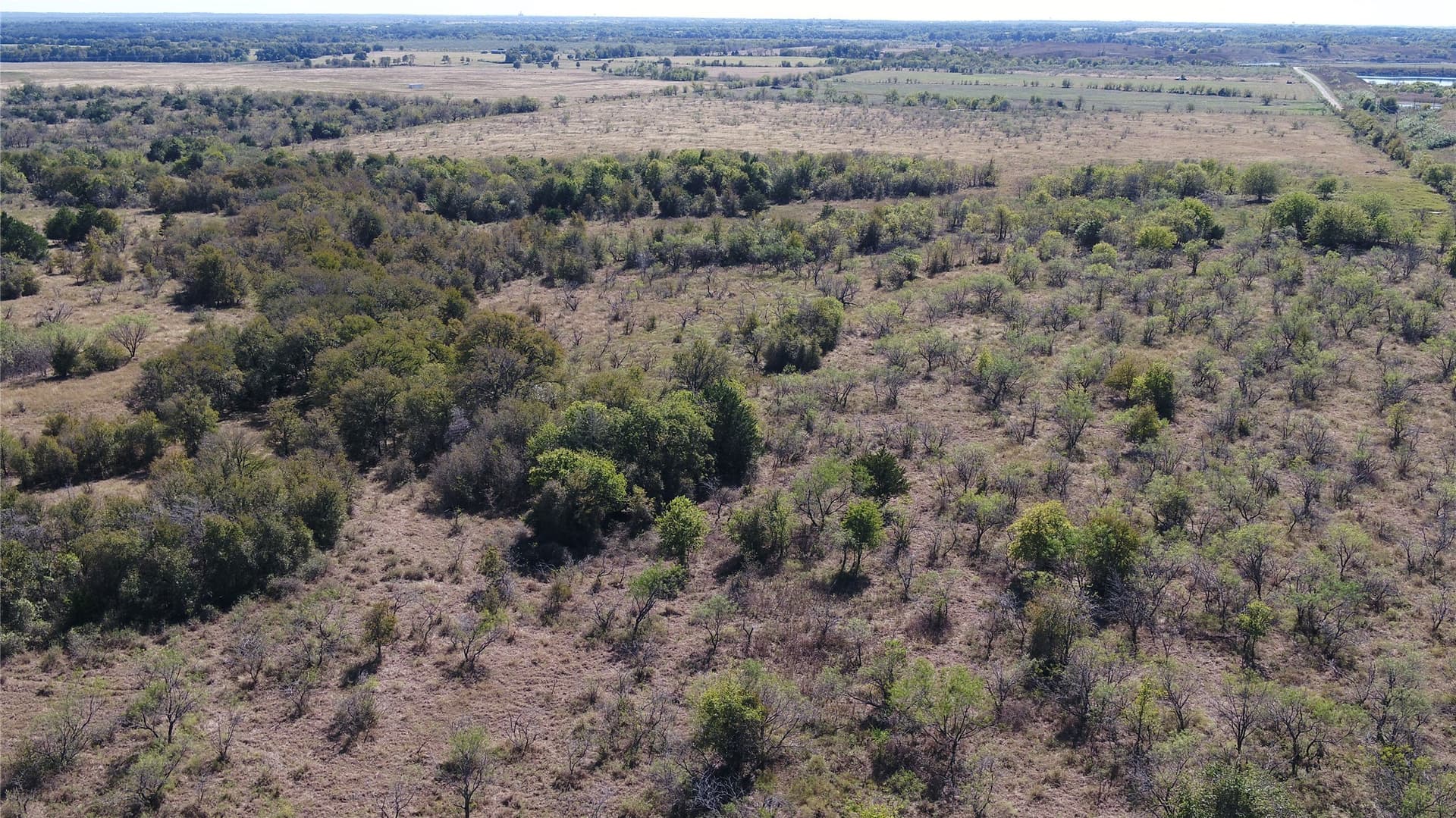 10 acres in Limestone County - photo 5