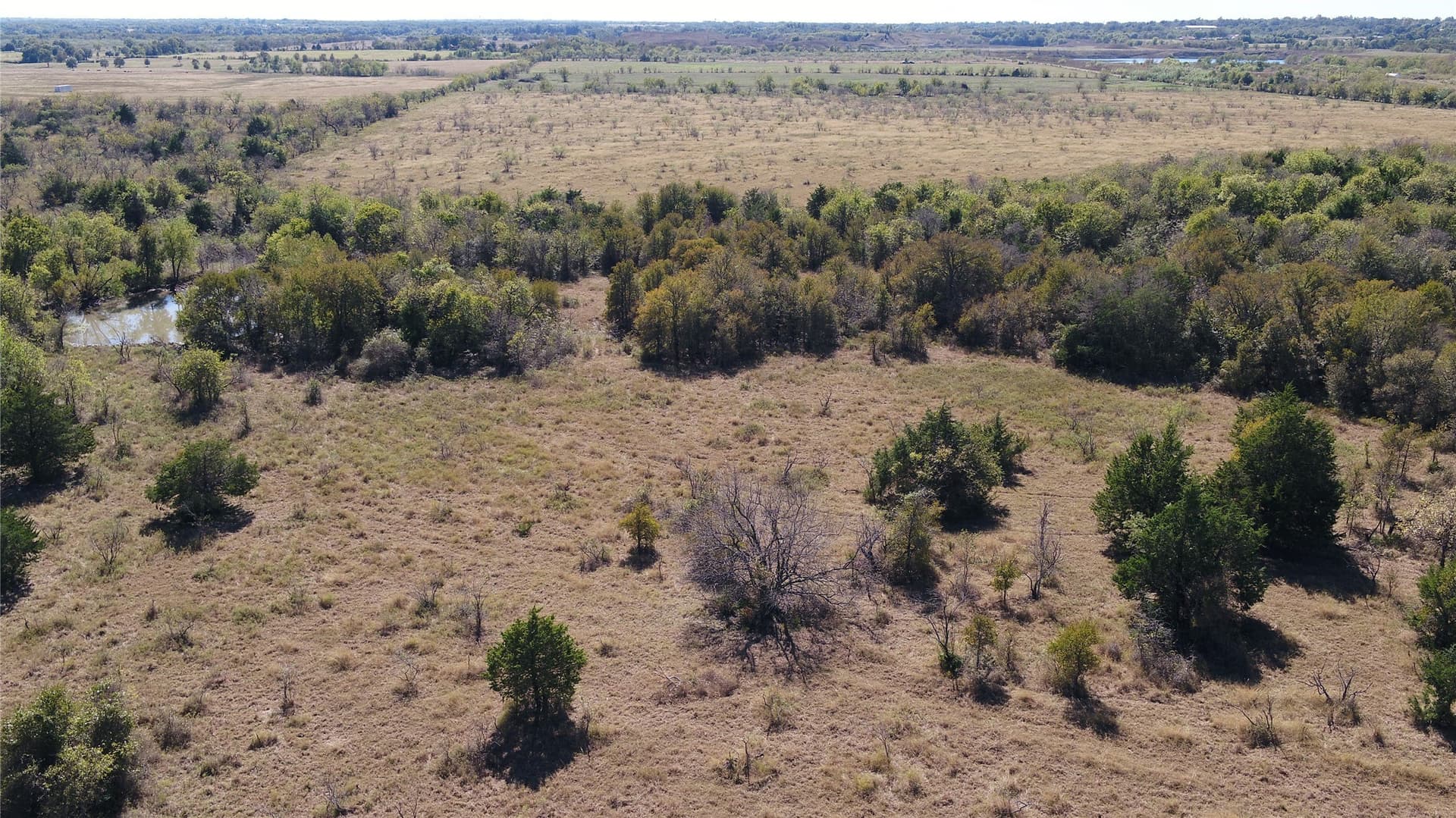10 acres in Limestone County - photo 9
