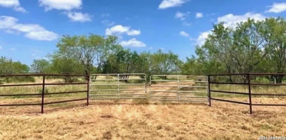 63.54 acres in Atascosa County gallery image 2
