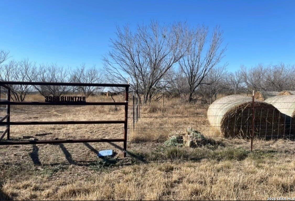 63.54 acres in Atascosa County gallery image 3