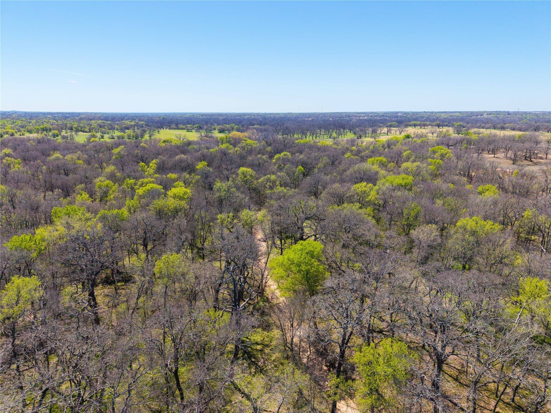 20 acres in Comanche County - photo 14