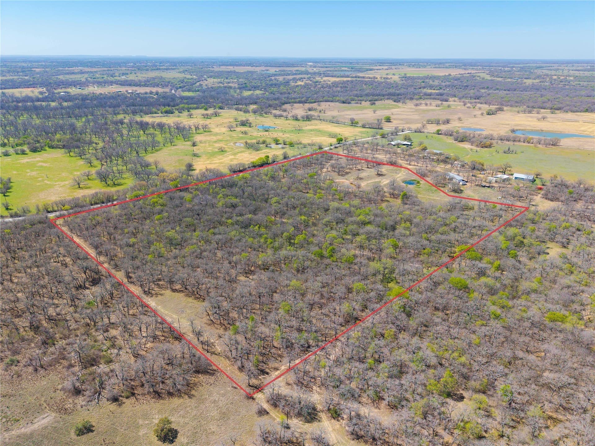 20 acres in Comanche County gallery image 2
