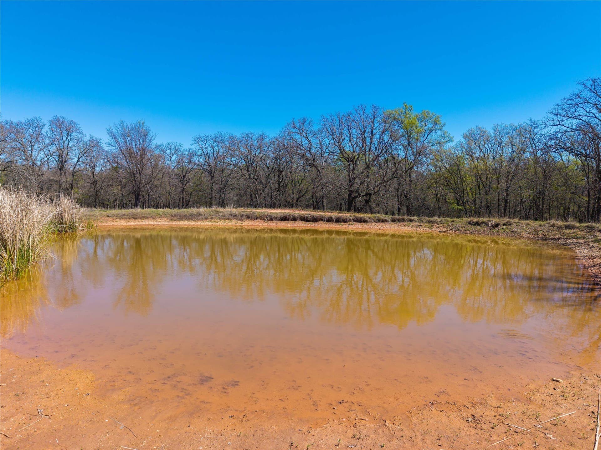 20 acres in Comanche County - photo 7