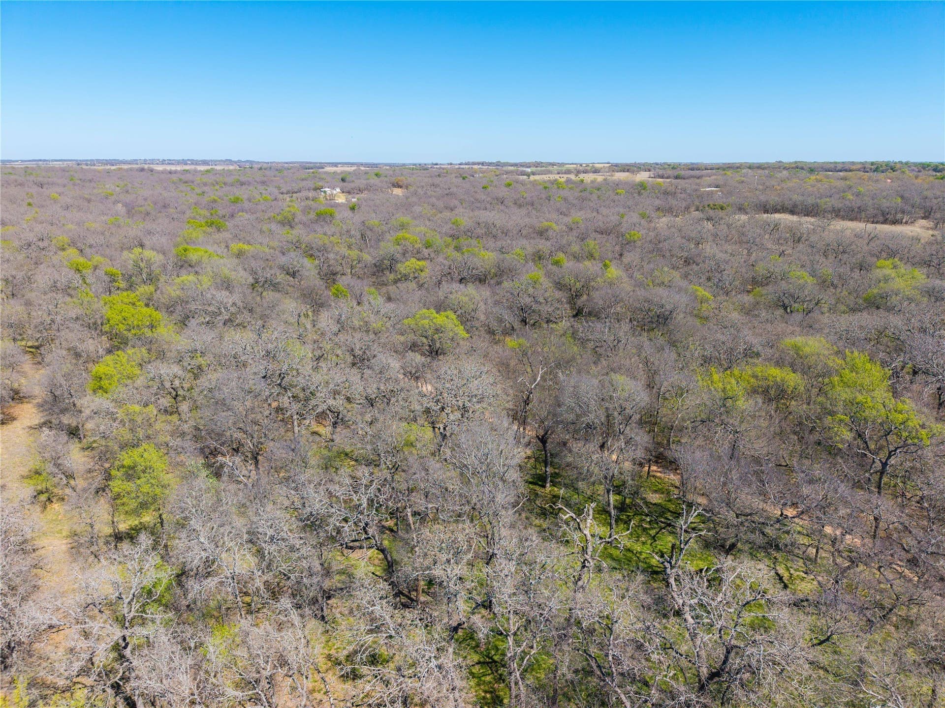 20 acres in Comanche County - photo 11
