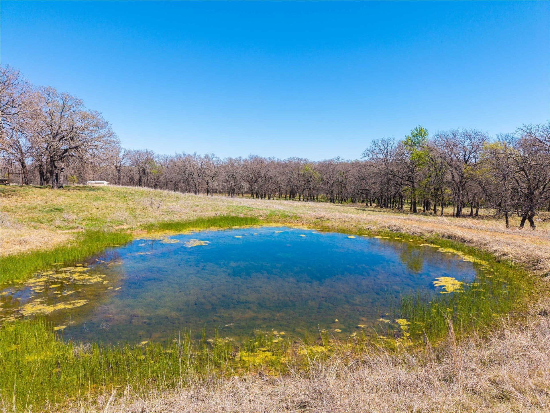 20 acres in Comanche County - photo 9