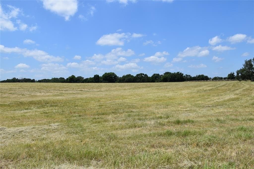 149.29 acres in Anderson County gallery image 3