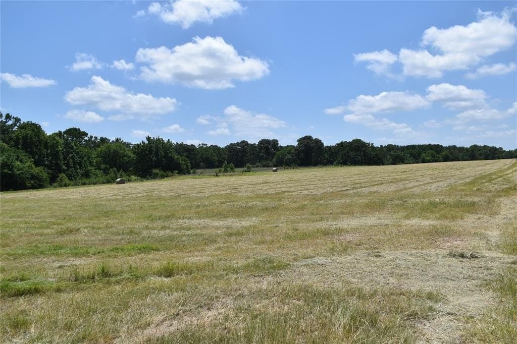 149.29 acres in Anderson County featured view