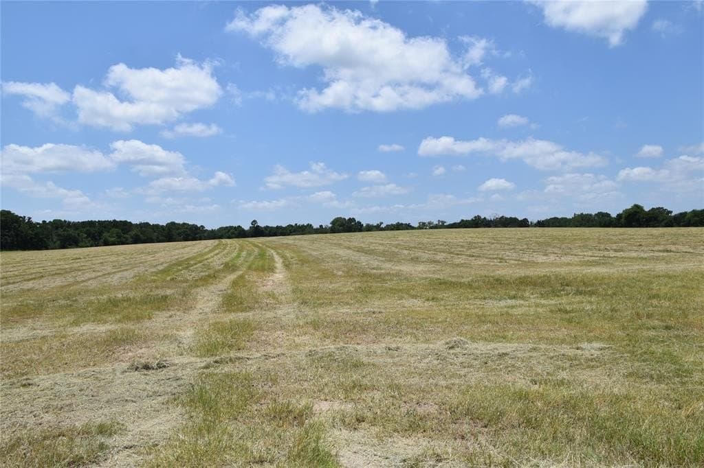 149.29 acres in Anderson County gallery image 4