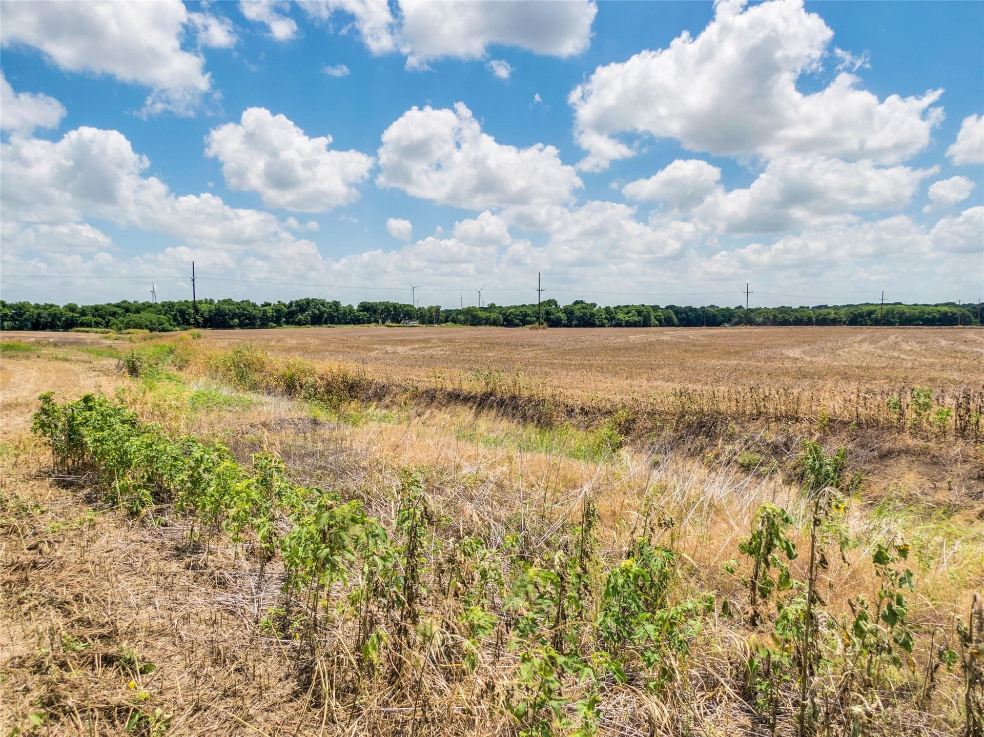 10 acres in Hill County - photo 9