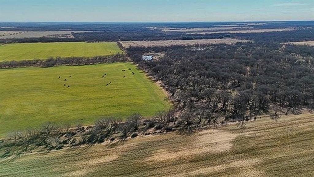 16 acres in Comanche County gallery image 2
