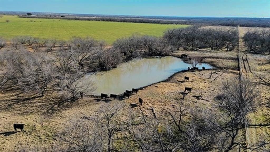 16 acres in Comanche County gallery image 3