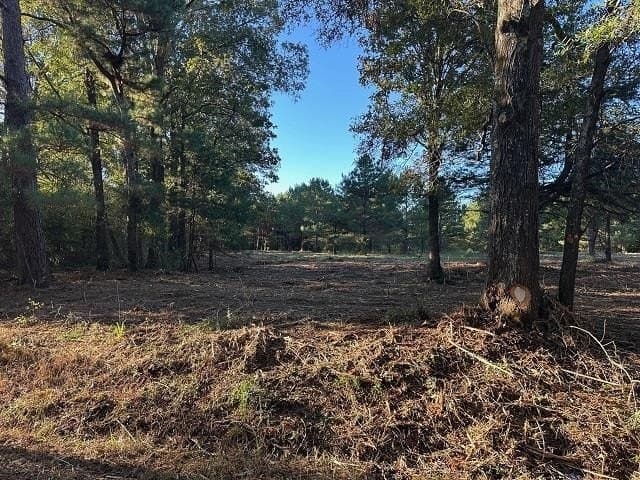 10.8 acres in Panola County