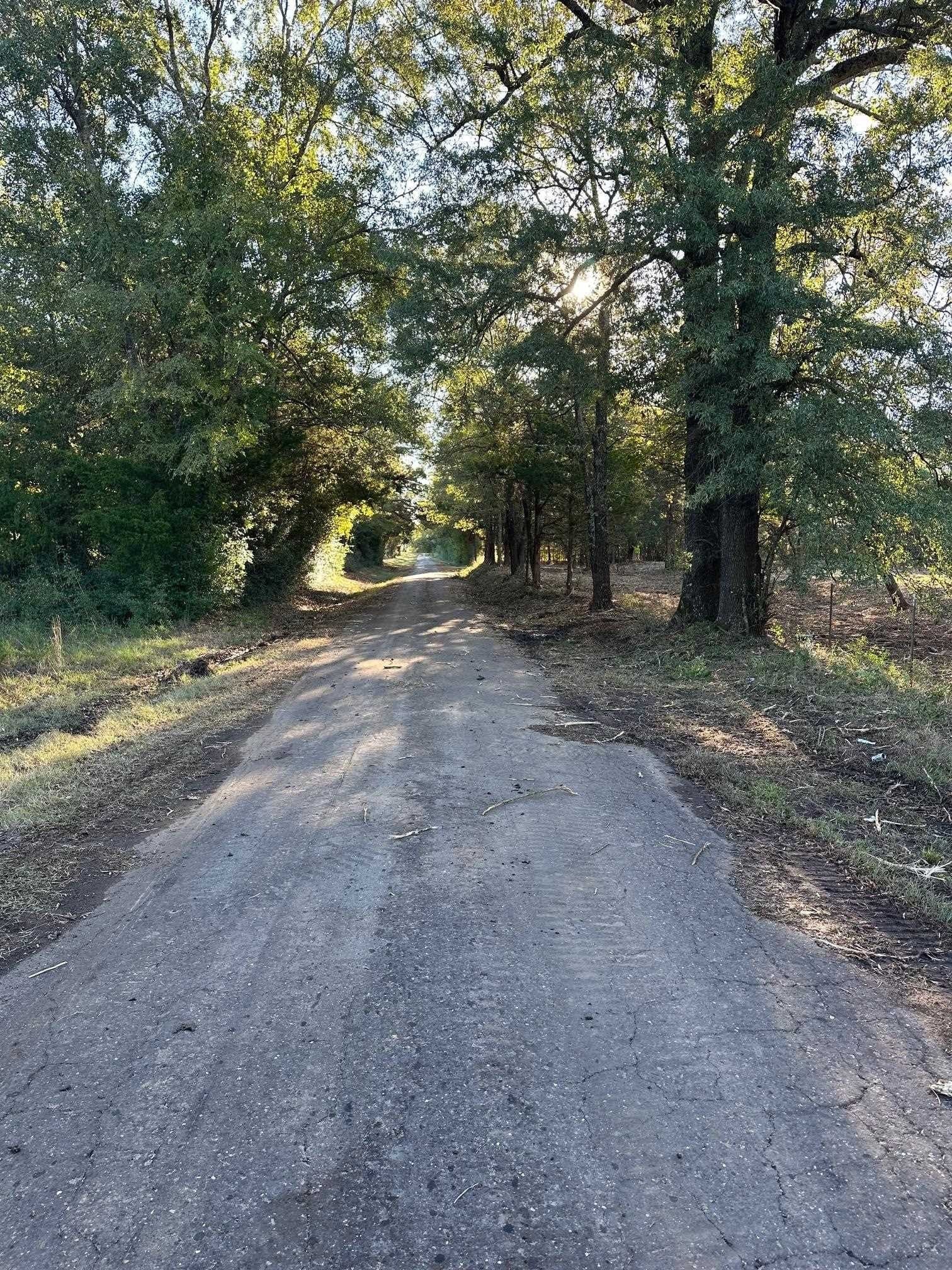 10.8 acres in Panola County featured view