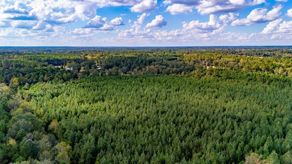 35 acres in Texas County featured view