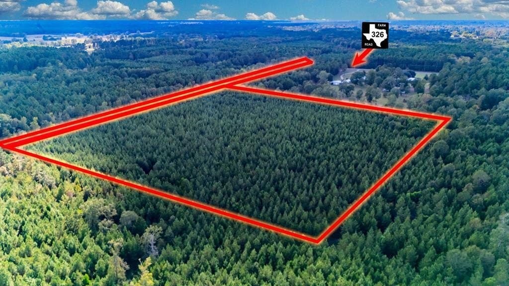 35 acres in Texas County gallery image 2