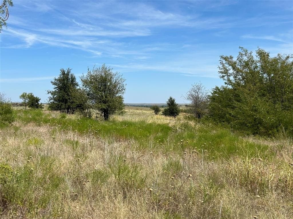 10.01 acres in Parker County