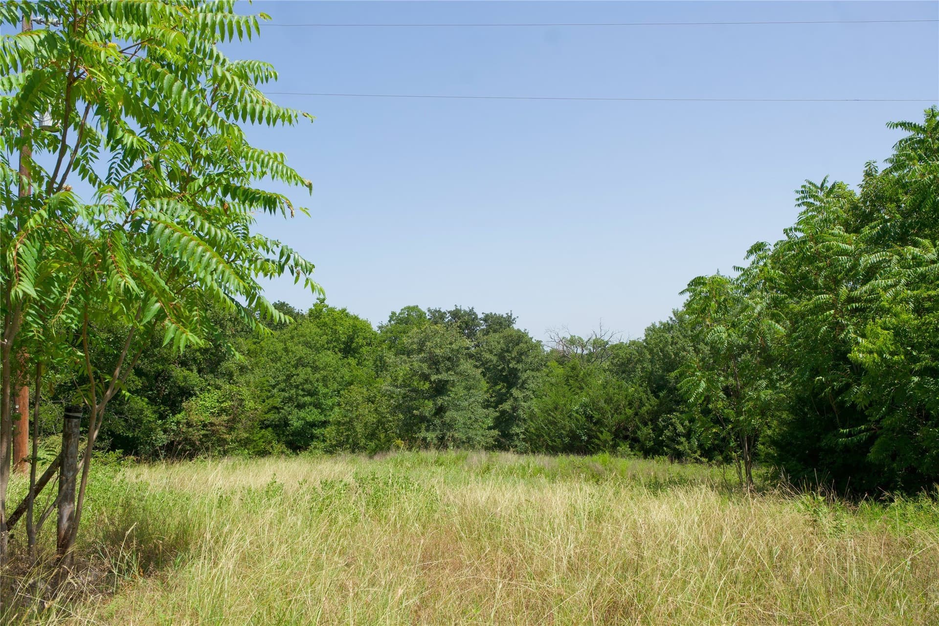 7 acres in Montague County gallery image 3