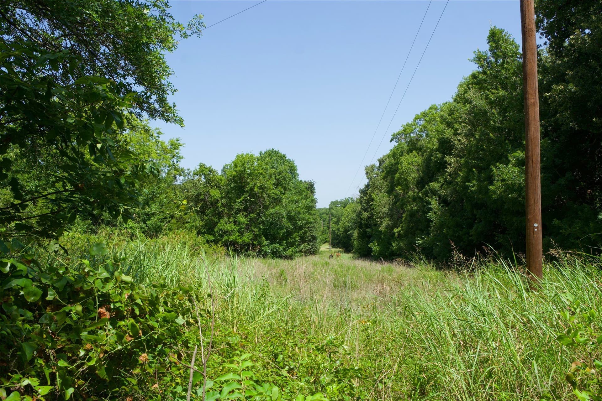 7 acres in Montague County gallery image 4
