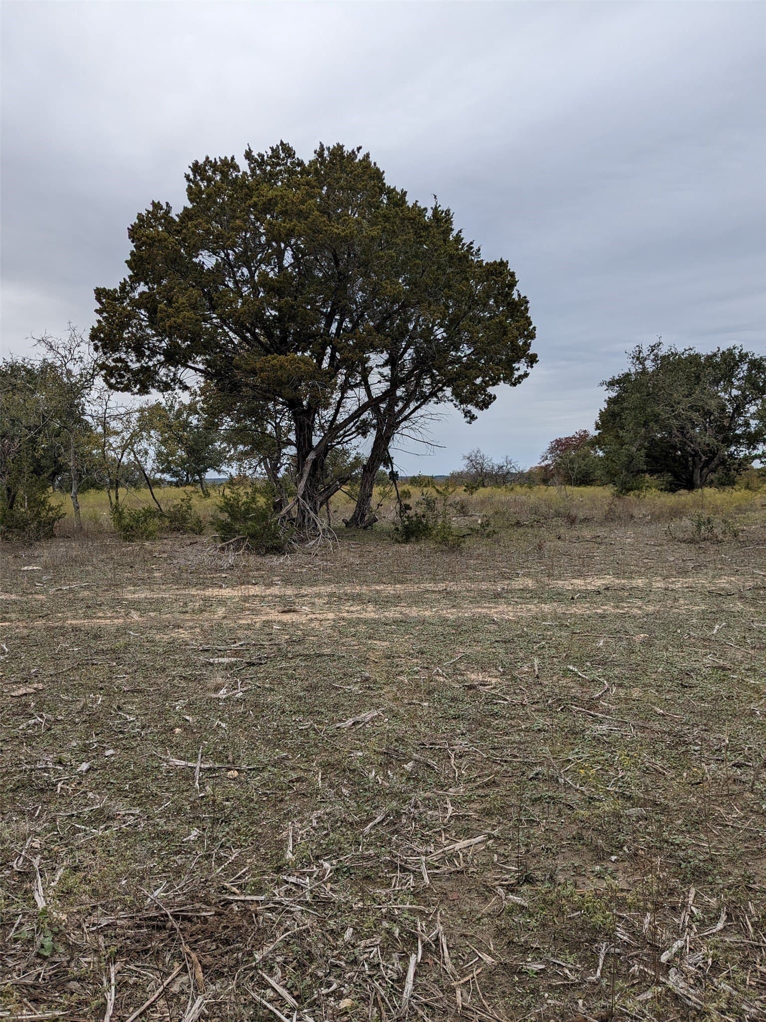 10.01 acres in Hamilton County - photo 7