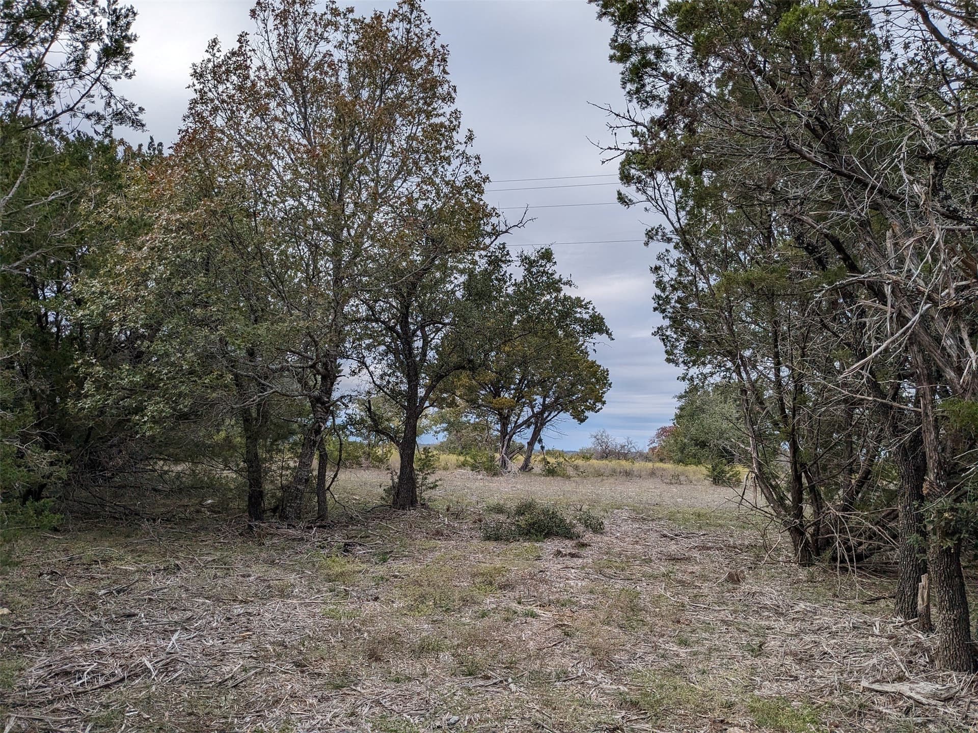 10.01 acres in Hamilton County - photo 13