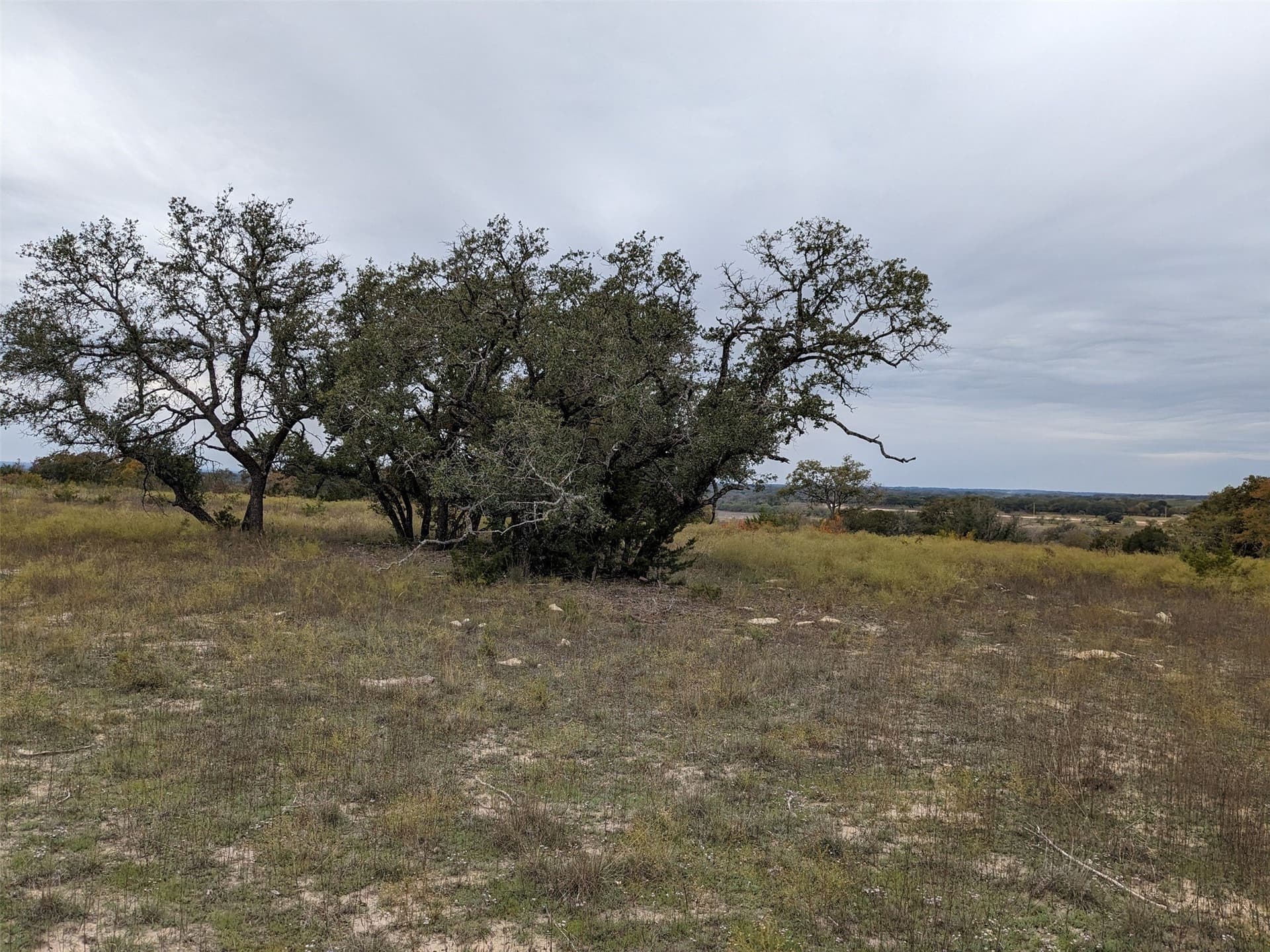 10.01 acres in Hamilton County - photo 10