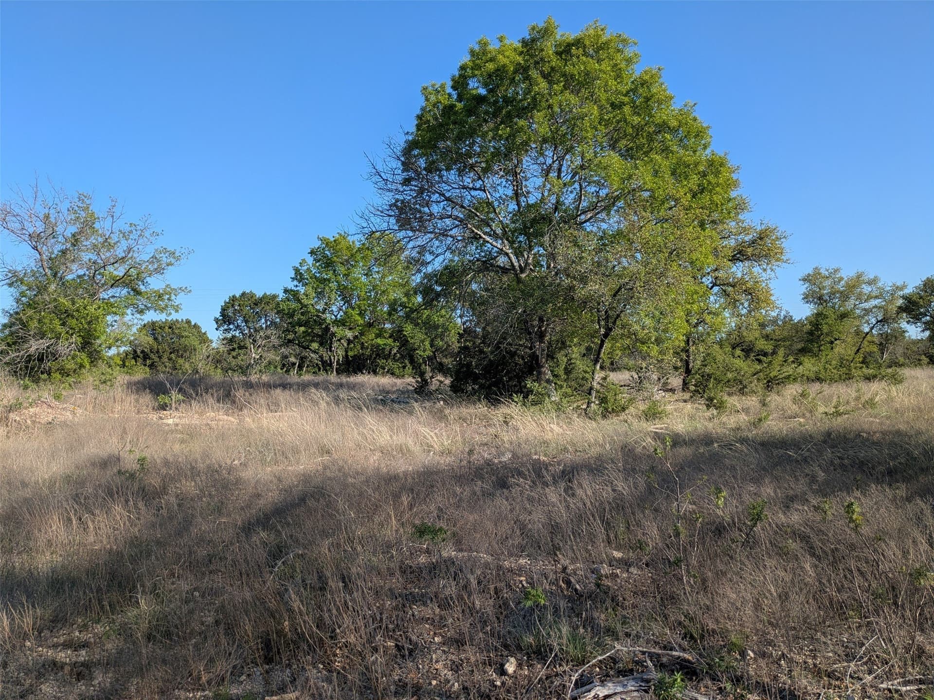 10.01 acres in Hamilton County - photo 15