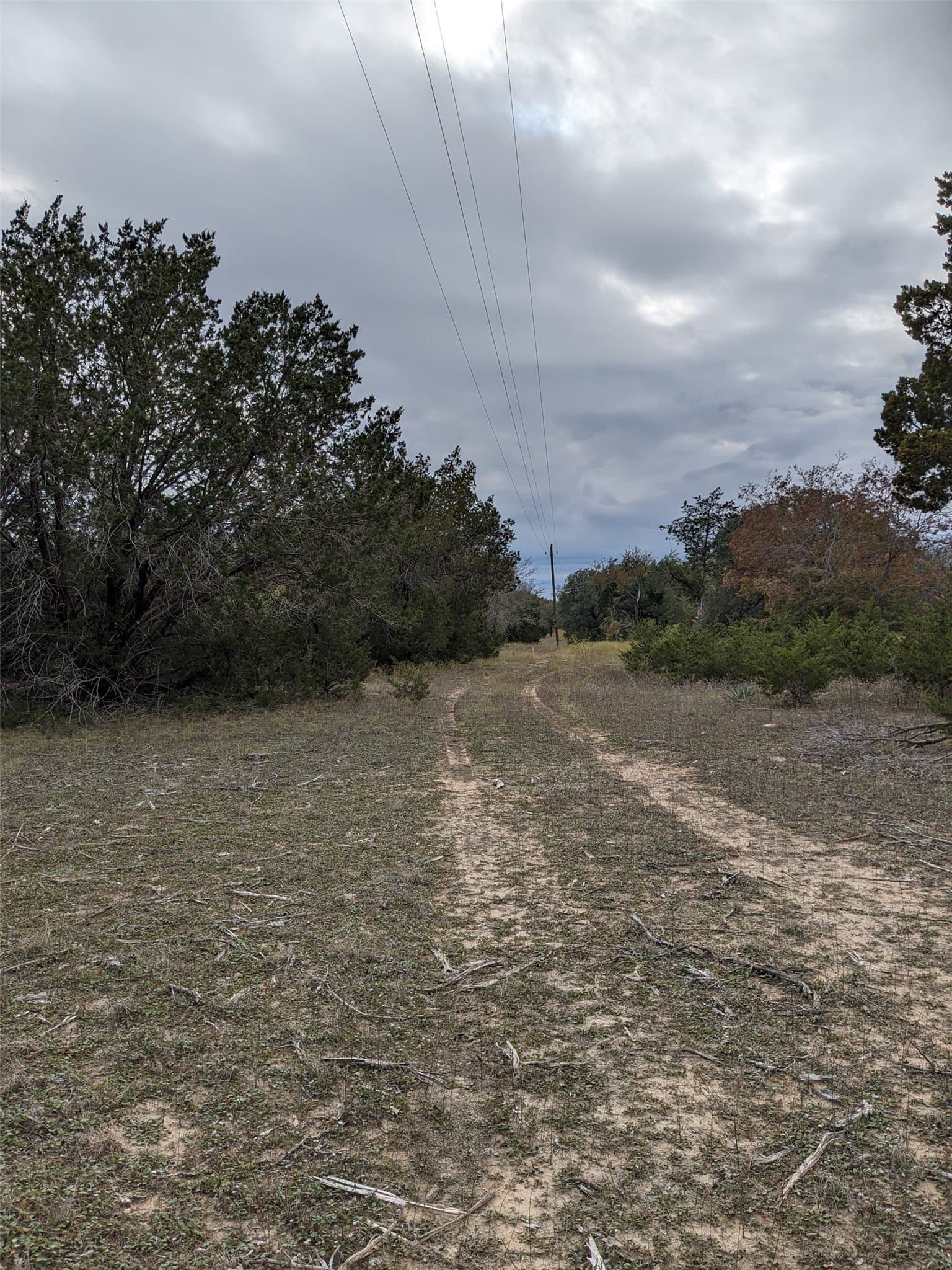 10.01 acres in Hamilton County - photo 11